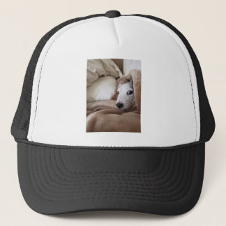Casquette Yoda Jack Russell Terrier, l'ami de Zoe