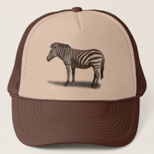 CASQUETTE ZEBRA
