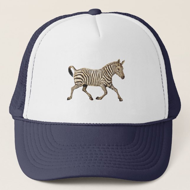 Casquette zèbre vintage avec conception paisley (Devant)