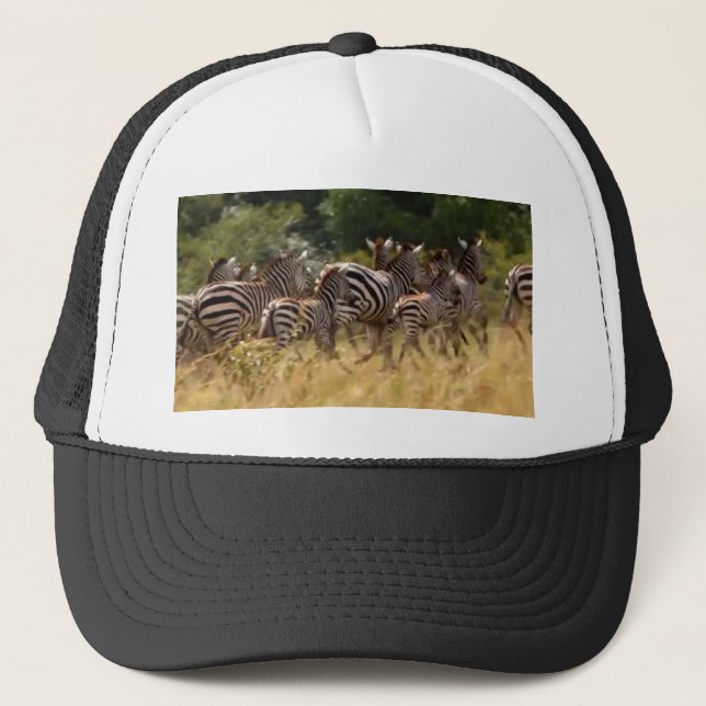 Casquette Zèbres en mouvement : Un voyage de mille milles (Devant)