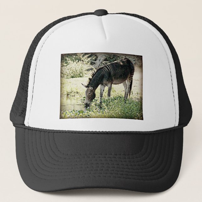 Casquette "Zedonk " (Devant)