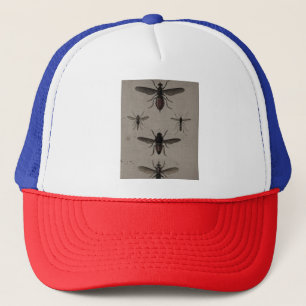 casquettes