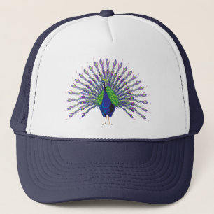 Casquettes de paon