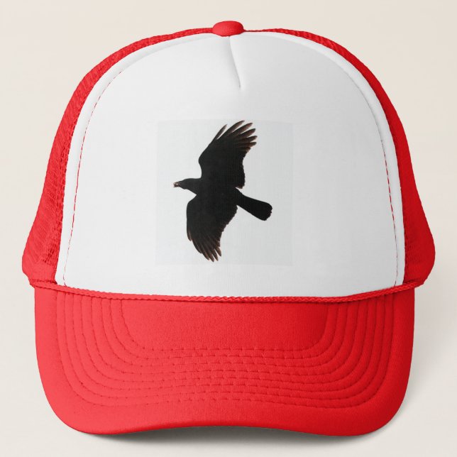 Casquettes de Raven (Devant)