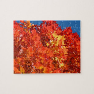 Casse-tête Feuilles d'automne Arbres orange puzzle