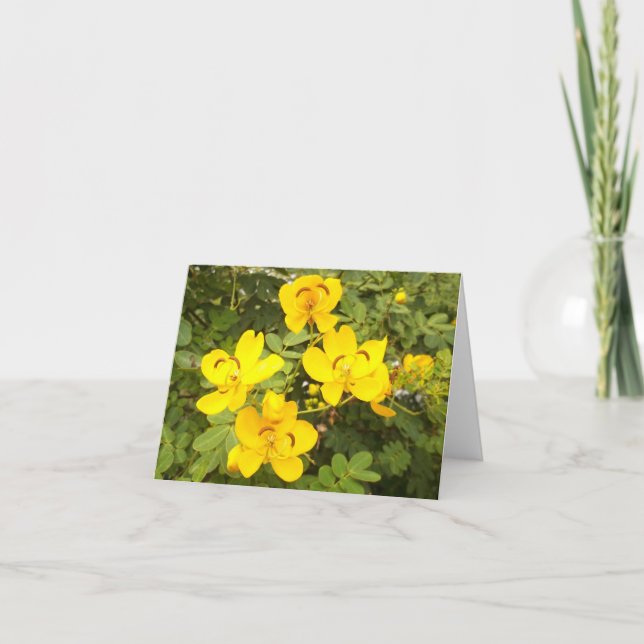 Cassia Flower Photo Folded Note Card (Front)