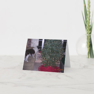 Cassie Christmas Card