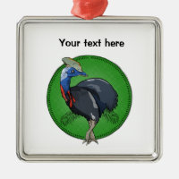 Cassowary Australian Bird