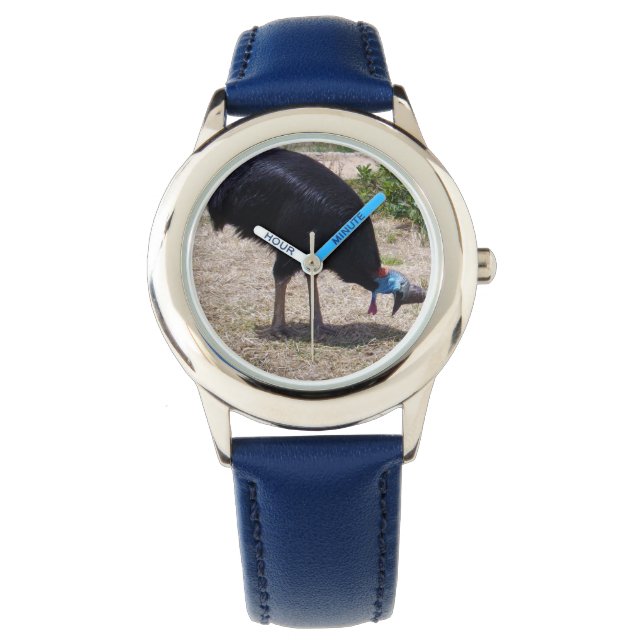 Cassowary Bird Looking For Tasty Bugs, Watch (Front)