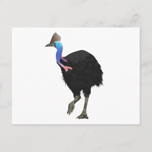 Cassowary Bird Postcard (Front)