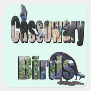 Cassowary Birds Is The Name, Square Sticker