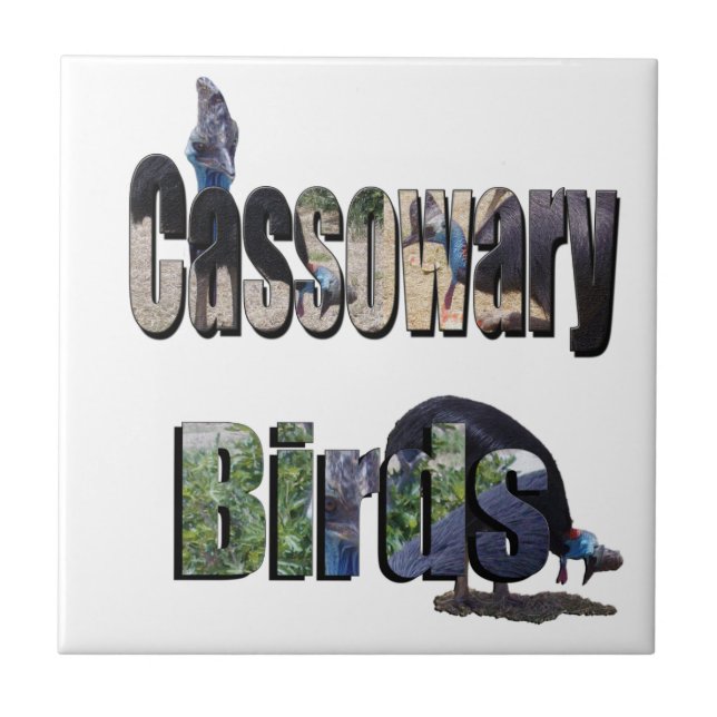 Cassowary Birds Is The Name, Tile (Front)
