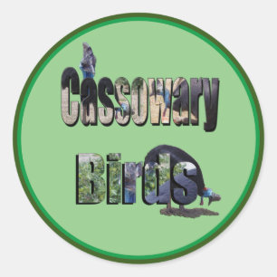 Cassowary Birds Picture Name,  Classic Round Sticker