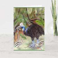 CASSOWARY