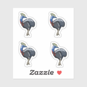cassowary coloured woth text