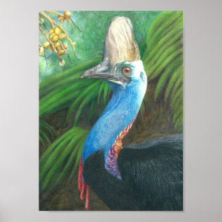 Cassowary Hand Painted Original Art Poster. Poster