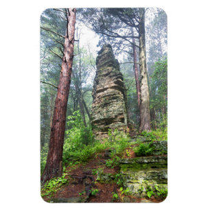 Castellated Mound in State Forest Magnet