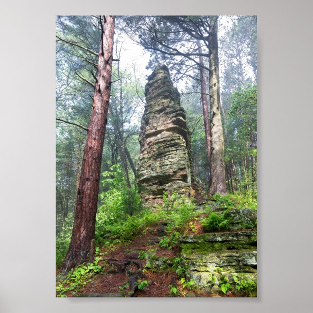Castellated Mound in State Forest Poster (Front)