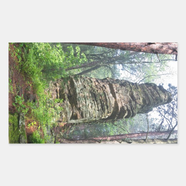 Castellated Mound in State Forest Sticker (Front)