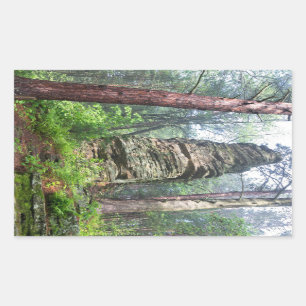 Castellated Mound in State Forest Sticker