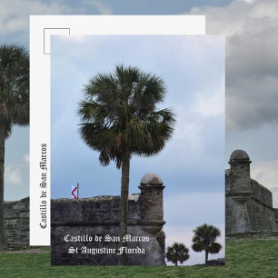 Castillo de San Marcos St Augustine FL Photo Postcard