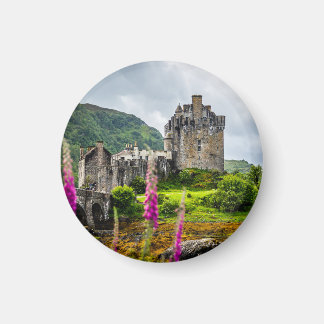 Castle magnet. magnet