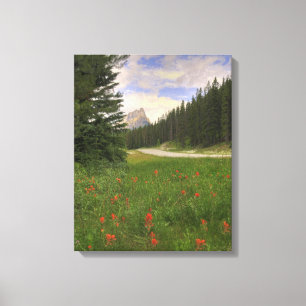 Castle Mountain Banff Canvas Print