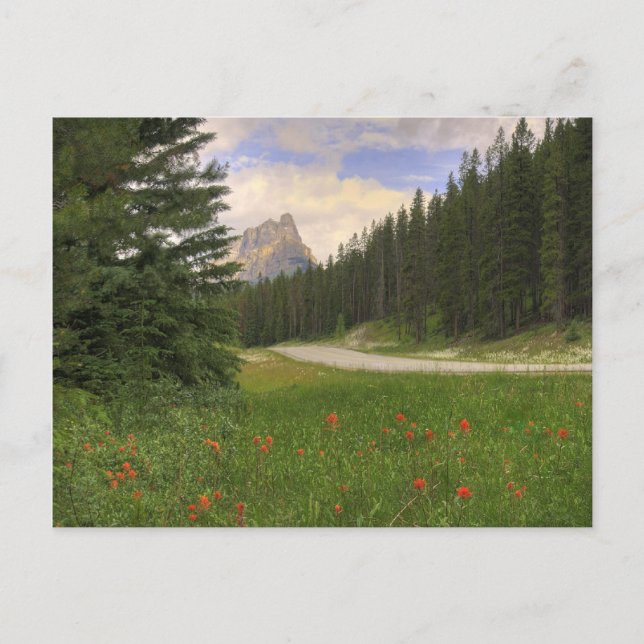 Castle Mountain Postcard (Front)