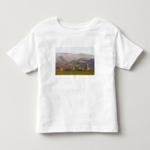 Castlerigg Stone Circle, Lake District, Cumbria, 2 Toddler T-shirt
