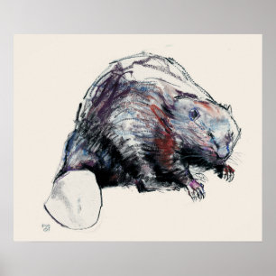 Castor Fibre 2001 Poster