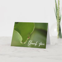 Casual Handwriting Banana Leaf Photo