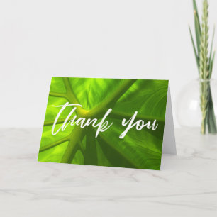 Casual Handwriting Thank You on Bold Elephant Ear Card