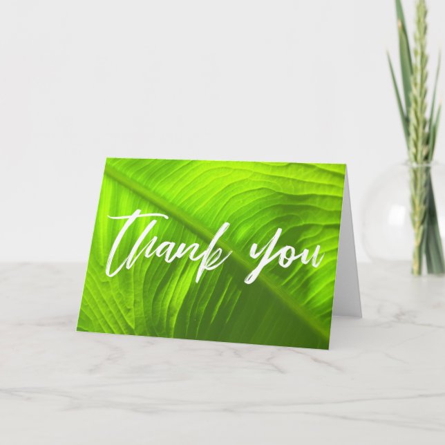 Casual Handwriting Thank You on Green Elephant Ear Card (Front)