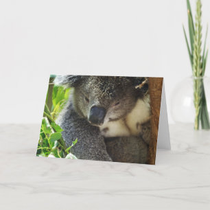 Casual Koala Greeting Card