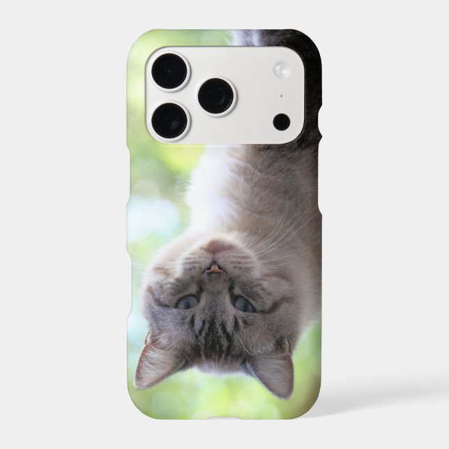 Cat (Back)