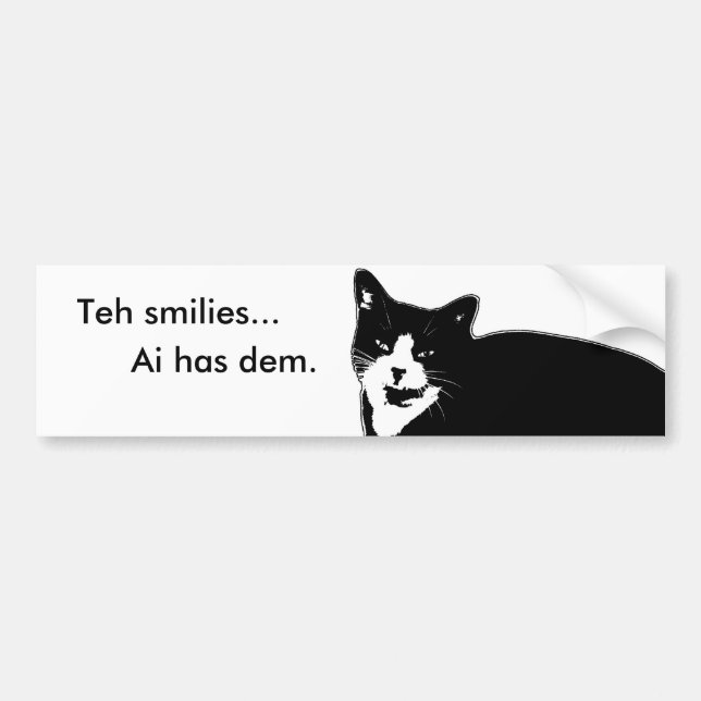 Cat2 Bumper Sticker (Front)