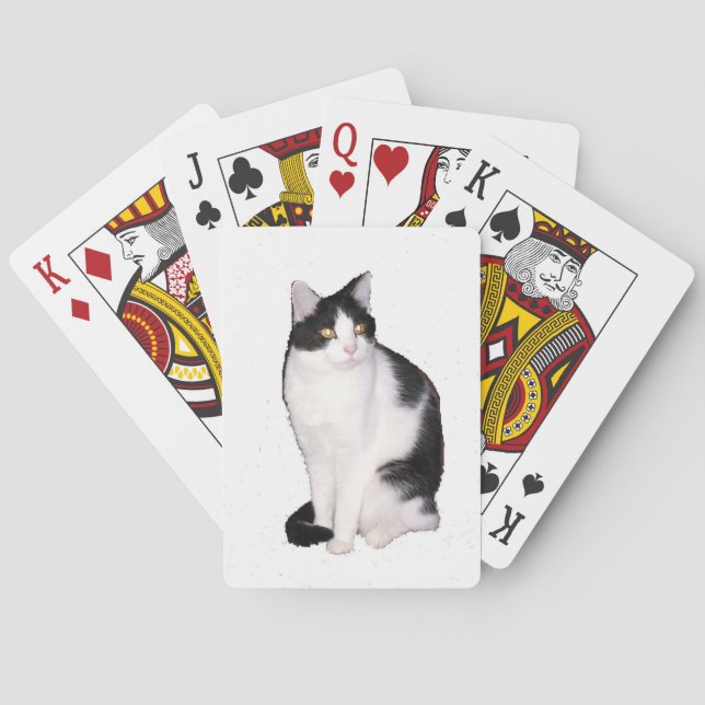 Cat 12 Cartes de Jeu (dos)
