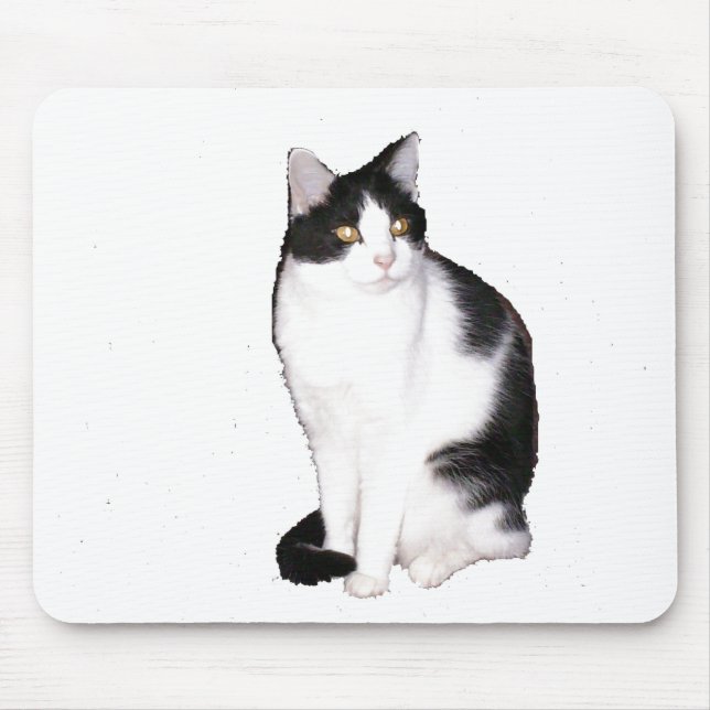 Cat 12, Mouse Pad (Front)