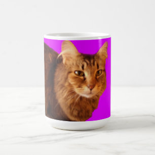 Cat 14 Mug