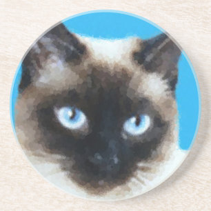 Cat 1 coaster
