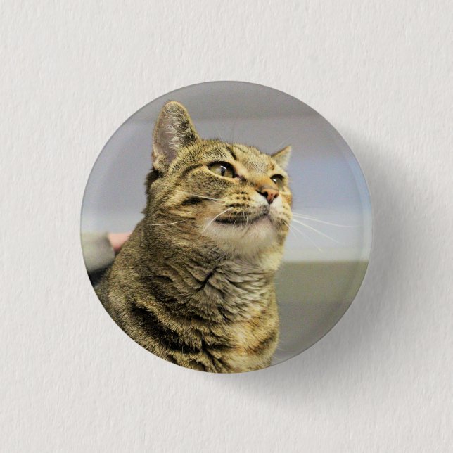 Cat   1 inch round button (Front)