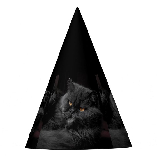 Cat_20180101_by_JAMFoto Party Hat (Front)