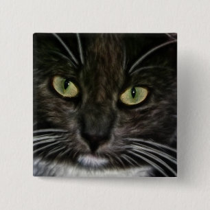 Cat 2 Inch Square Button