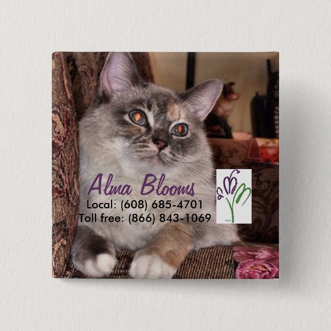 Cat 2 Inch Square Button (Front)