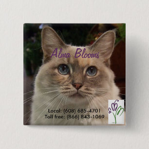 Cat 2 Inch Square Button