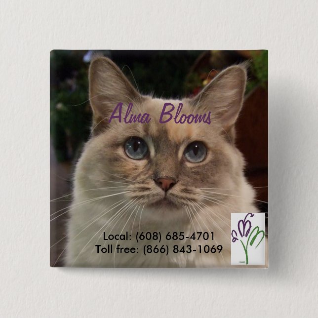 Cat 2 Inch Square Button (Front)