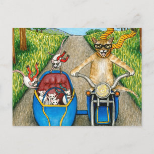 Cat 384 postcard