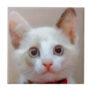 cat 3 tile