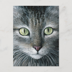 Cat 478 postcard