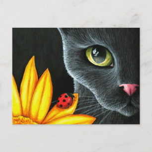 Cat 510 postcard